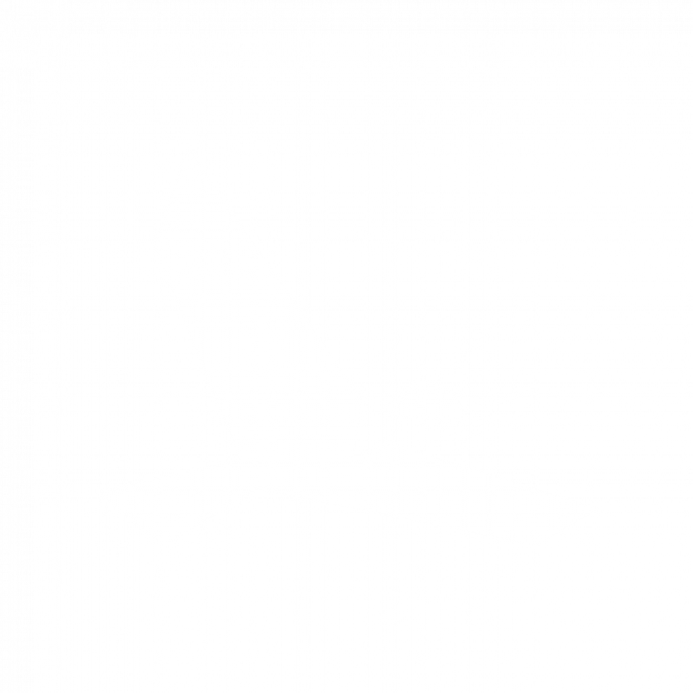 bird only white max pad